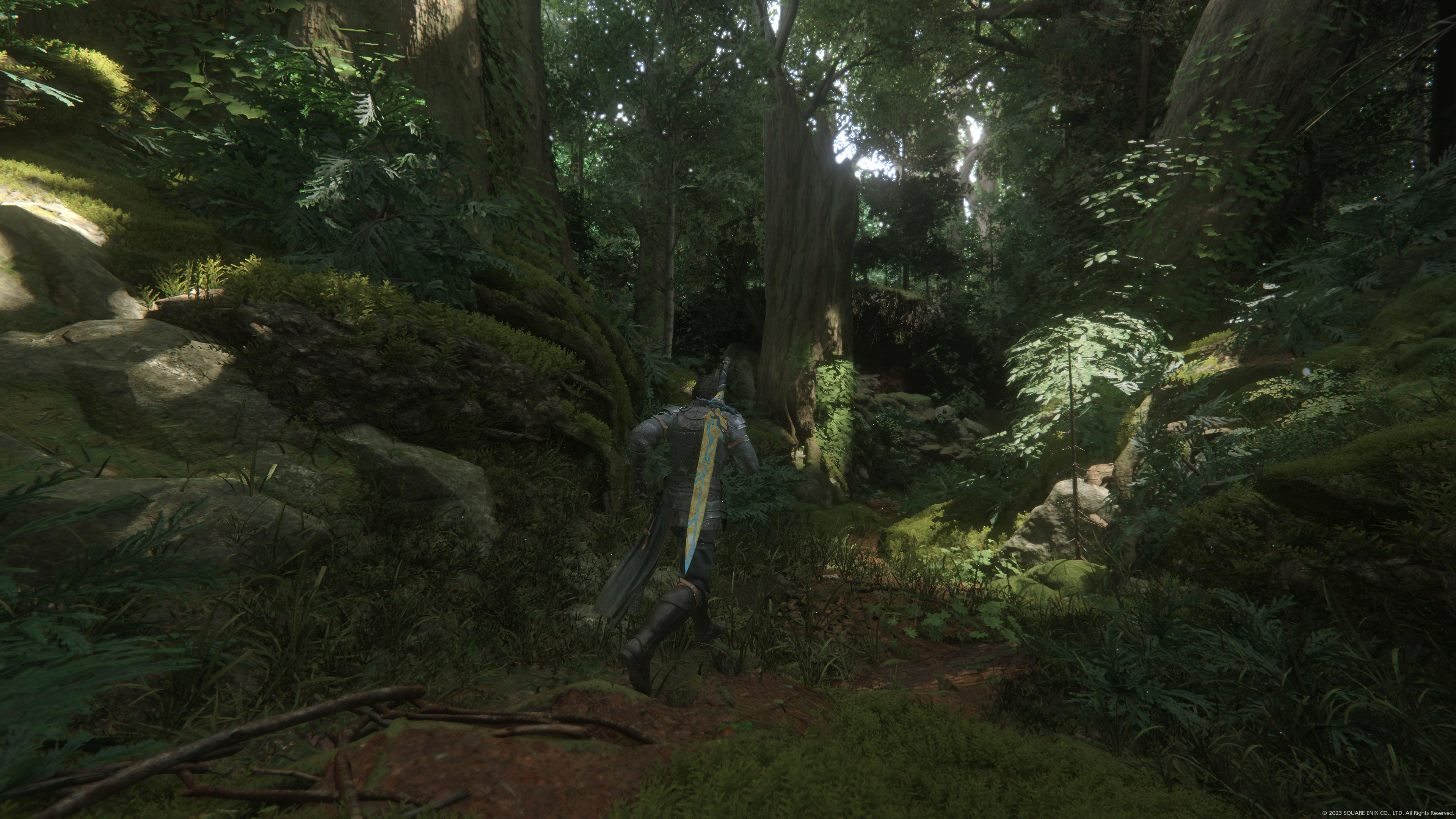 Clive scampering though a forest