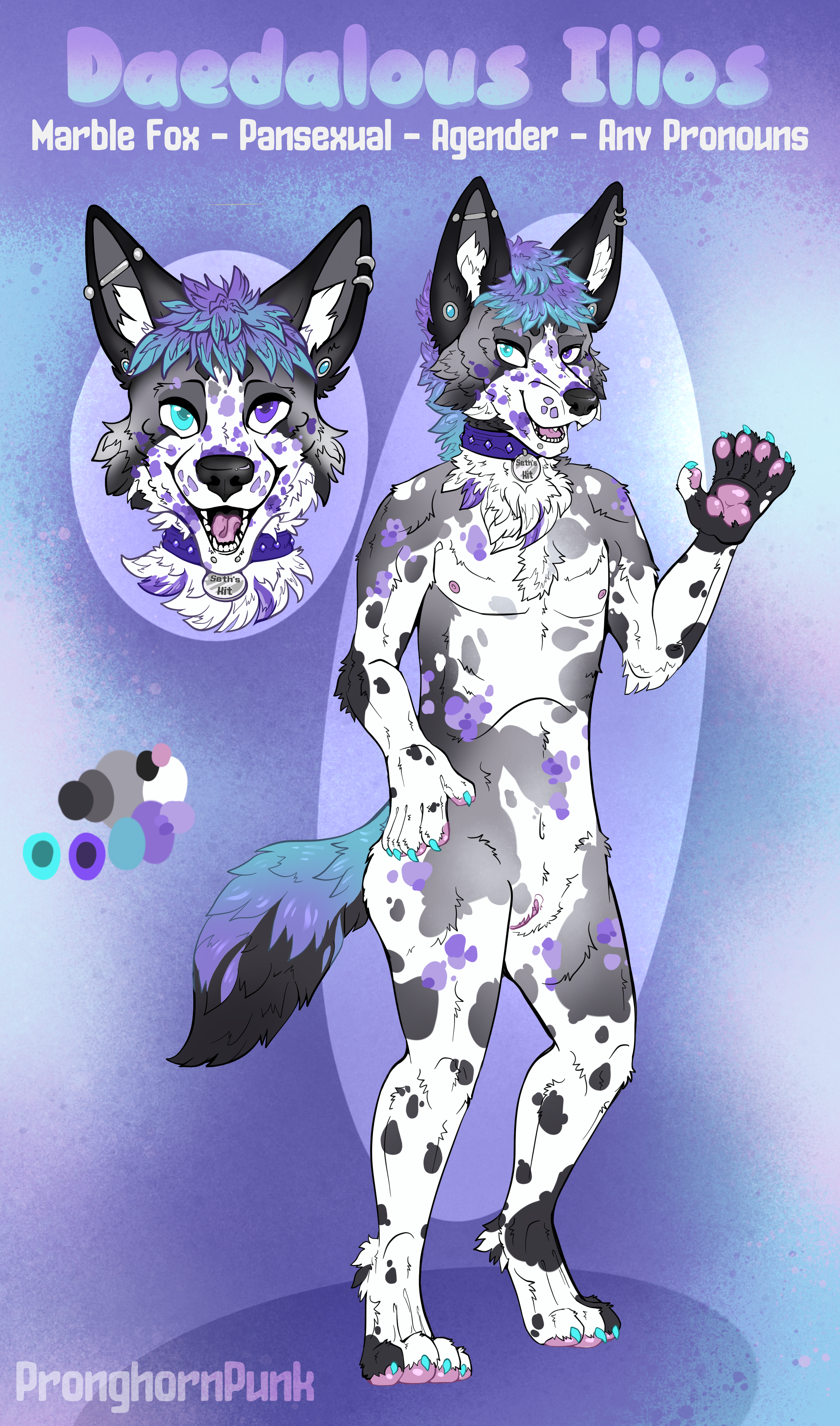 A ref sheet of my fursona. A marble fox with white and black fur. Their hair is purple with cyan tips and they have purple splotches over their face and body. They have a cyan eye and the other eye is winking. Their right ear has an industrial bar piercing while the left ear has a helix and their lips have snake bites. The base of their ears has blue capped studs.  Around their neck is a blue collar with a tag reading "Seth's Kit." Between their legs is a pink vagina.