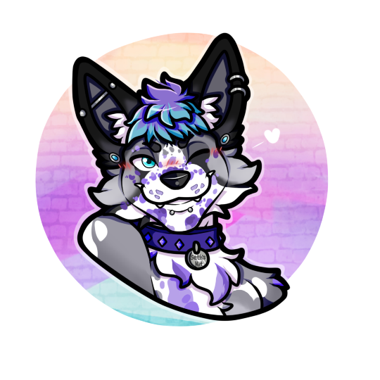 Icon style picture depicting my fursona, a marble fox with white and black fur. Their hair is purple with cyan tips and they have purple splotches over their face and body. They have a cyan eye and the other eye is winking. Their right ear has an industrial bar piercing while the left ear has a helix and their lips have snake bites. The base of their ears has blue capped studs. Around their neck is a blue collar with a tag reading "Seth's Kit." The background is a vaporwave style gradient.